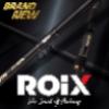 Старт продаж ROIX