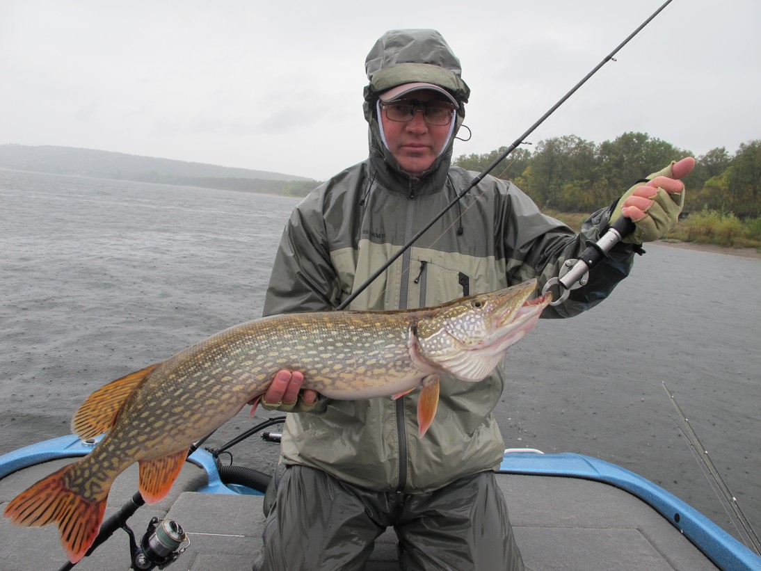 Третий этап турнира Pro Anglers League 2013. Волгоградское водохранилище