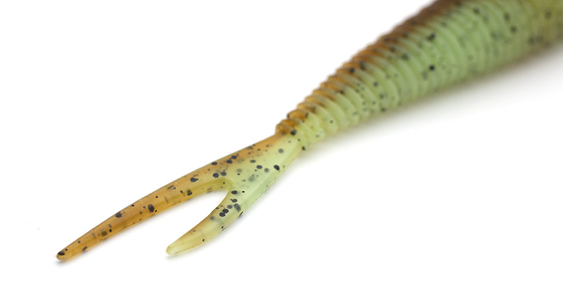 Placoid-w-tail.jpg