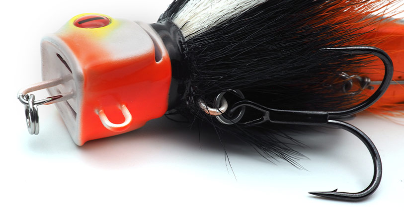 Rowdy-head3.jpg Rowdy-head3.jpg