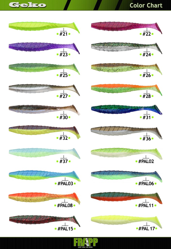 Geko-Colors-2024.jpg